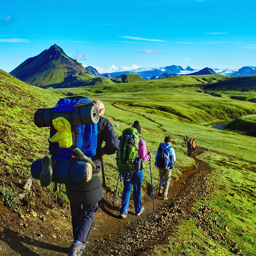 hikers on the trail in the Islandic mountains. Trek in National Park Landmannalaugar, Iceland. valley is covered with bright green moss