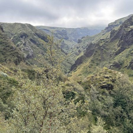 Scenic view of Icelandic mountains and lush greenery for outdoor adventures.