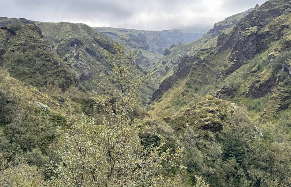Scenic view of Icelandic mountains and lush greenery for outdoor adventures.