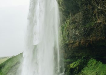 camila-camacho-Ku8DoAaeyjc-unsplash