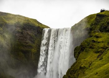 saikrishna-saketh-yellapragada--v5O8aDShXk-unsplash