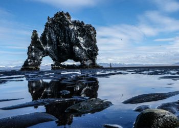 Hvítserkur rock, south coast day tour