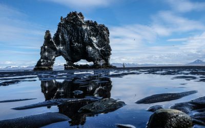 Hvítserkur rock, south coast day tour