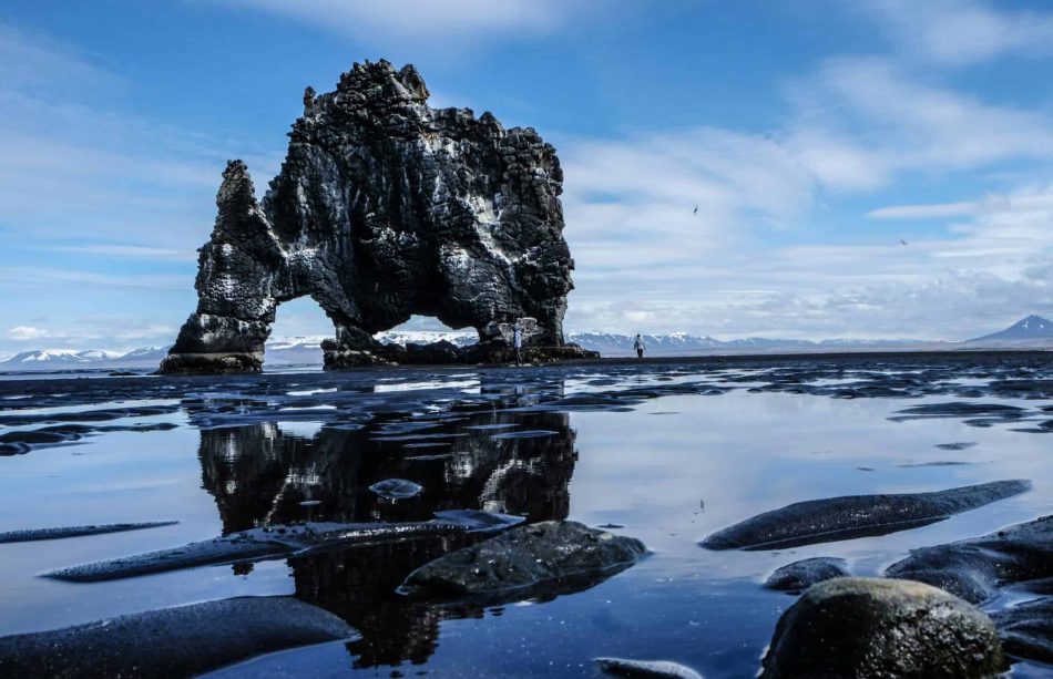 Hvítserkur rock, south coast day tour